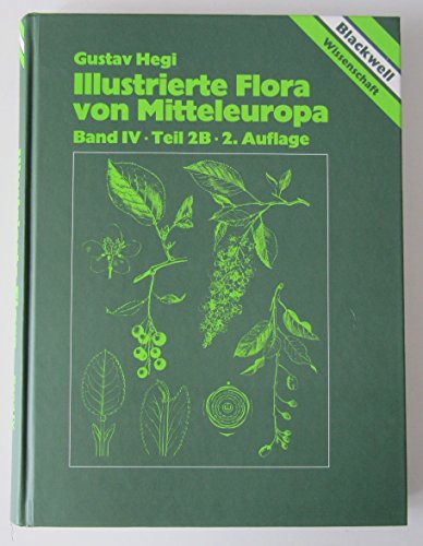 9783826325335: Illustrierte Flora von Mitteleuropa, 7 Bde. in Tl.-Bdn. u. Lieferungen, Bd.4/2B, Spermatophyta: Angiospermae: Dicotyledones 2 (3)