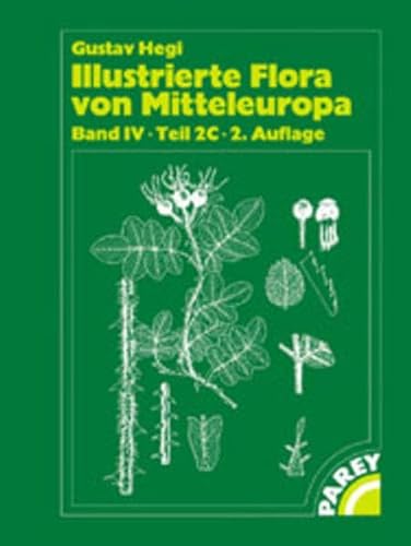 Imagen de archivo de Illustrierte Flora von Mitteleuropa. Pteridophyta - Spermatophyta Tl 2C Hegi, Gustav, Bd.4 / 2C Bd. IV Teil 2C [Gebundene Ausgabe] Botanik kologie Biologie Pflanzen Gustav Hegi Hans J. Conert Eckehart J. Jger Joachim W. Kadereit Heinrich E. Weber illustrierte Flora von Mitteleuropa. Pteridophyta - Spermatophyta a la venta por BUCHSERVICE / ANTIQUARIAT Lars Lutzer