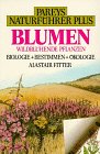 Beispielbild fr Pareys Naturfhrer Plus, Blumen von Alastair H. Fitter zum Verkauf von BUCHSERVICE / ANTIQUARIAT Lars Lutzer