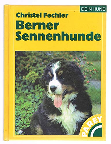 Beispielbild fr Berner Sennenhunde zum Verkauf von medimops