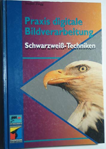 Stock image for Praxis Digitale Bildverarbeitung. Schwarz-Weiss-Technik - Desktop Design Power for sale by Buchpark