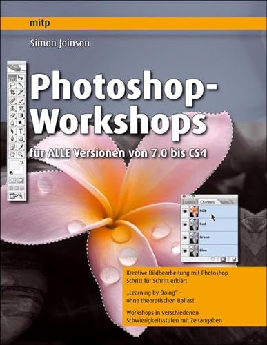 Stock image for Photoshop-Workshops - fr ALLE Versionen von 7.0 bis CS4 (mitp Grafik) for sale by medimops