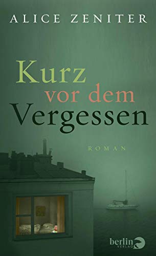 9783827013828: Kurz vor dem Vergessen: Roman | Roman ber das Ende einer Liebe und ber das Wesen des Schreibens