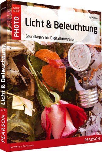 9783827332523: Licht und Beleuchtung: Grundlagen fr Digitalfotografen