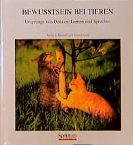 Beispielbild fr Bewutsein bei Tieren: Ursprnge von Denken, Lernen und Sprechen zum Verkauf von medimops