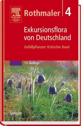 Exkursionsflora von Deutschland, 4 Bde., Bd.4, Gefäßpflanzen, Kritischer Band - Rudolf Schubert,Werner Vent