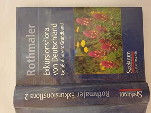 9783827409126: Rothmaler - Exkursionsflora von Deutschland. Bd. 2: Gefpflanzen: Grundband (German Edition)
