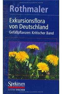 Imagen de archivo de Exkursionsflora von Deutschland, 4 Bde., Bd.4, Gefpflanzen, Kritischer Band a la venta por medimops