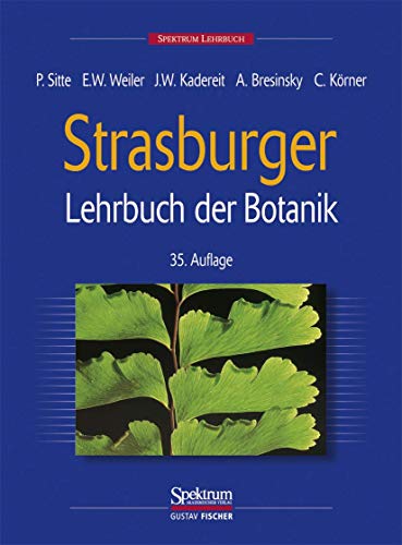 Stock image for Strasburger. Lehrbuch der Botanik fr Hochschulen for sale by medimops