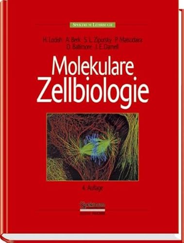 9783827410771: Molekulare Zellbiologie (German Edition)