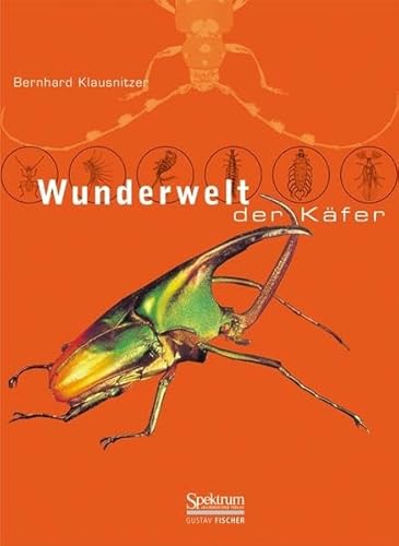 9783827411044: Wunderwelt Der Kfer