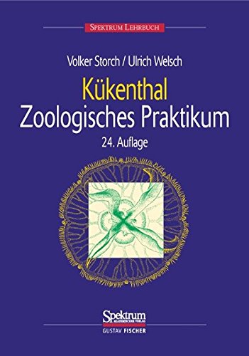 Storch, Welsch, Kükenthal - Kükenthals Leitfaden für das Zoologische Praktikum / 24. Auflage - Storch, Volker, Ulrich Welsch und Kükenthal