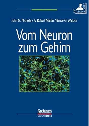 Vom Neuron zum Gehirn (Studienausgabe): Zum VerstÃ¤ndnis der zellulÃ¤ren und molekularen Funktion des Nervensystems (German Edition) (9783827413475) by John G. Nicholls Bruce G. Wallace Robert Martin