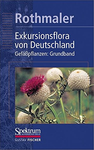 9783827413598: Rothmaler - Exkursionsflora von Deutschland. Bd. 2: Gefpflanzen: Grundband