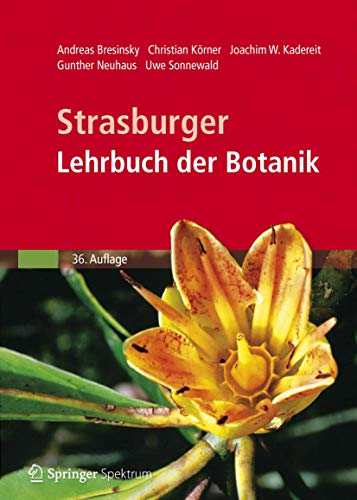 Beispielbild fr Strasburger - Lehrbuch der Botanik zum Verkauf von medimops
