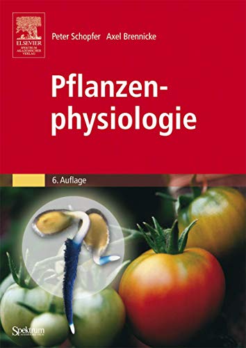 Stock image for Pflanzenphysiologie (Gebundene Ausgabe) von Peter Schopfer (Autor), Axel Brennicke (Autor), Hans Mohr for sale by BUCHSERVICE / ANTIQUARIAT Lars Lutzer