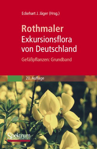 Beispielbild fr Rothmaler - Exkursionsflora von Deutschland. Gefpflanzen: Grundband zum Verkauf von medimops