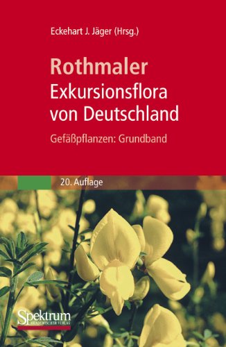 Stock image for Rothmaler - Exkursionsflora von Deutschland. Gefpflanzen: Grundband (German Edition) for sale by Books Unplugged