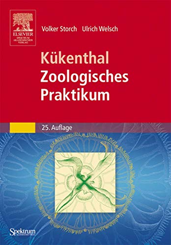 Stock image for Kkenthal - Zoologisches Praktikum (Sav Biologie) for sale by medimops