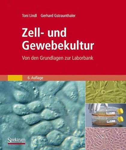 Stock image for Zell- und Gewebekultur: Von den Grundlagen zur Laborbank (German Edition) for sale by GF Books, Inc.