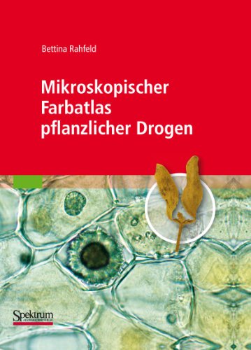 Beispielbild fr Mikroskopischer Farbatlas pflanzlicher Drogen zum Verkauf von medimops