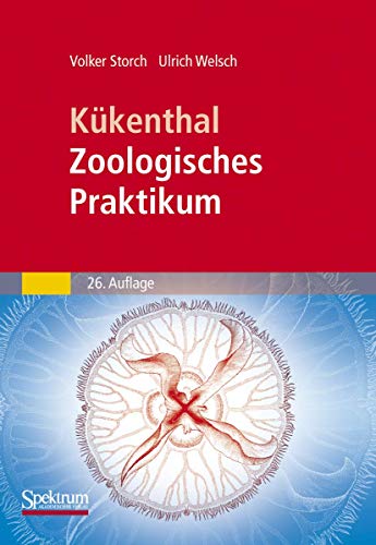 Stock image for Volker Storch, Kükenthal, Zoologisches Praktikum / 26. Auflage for sale by sonntago DE