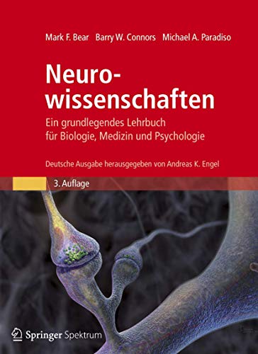 Stock image for Neurowissenschaften - Ein grundlegendes Lehrbuch fr Biologie, Medizin und Psychologie [Gebundene Ausgabe] Bear et al., Neuroscience 3/e Hirnforschung Neurosciences Kognition Nervenystems Kognitionswissenschaft Kognitive Psychologie Anatomie des Gehirns Sinnesphysiologie Entwicklungsbiologie Verhalten Strungen des Nervenystems Biopsychologie Neurowissenschaften Studium 2. Studienabschnitt Klinik Neurologie Anatomie Aufmerksamkeit Biopsychologe Gehirn Medizin Nichtklinische Fcher Humanmedizin Hirnforschung Kognitionswissenschaft Nervensystem Neuroanatomie Neurophysiologie Neurowissenschaft Neurowissenschaften Handbuch Lehrbuch Physiologie Sinnesphysiologie Verhalten Andreas Engel (Herausgeber), Mark F. Bear (Autor), Barry W. Connors (Autor), Michael A. Paradiso (Autor) for sale by BUCHSERVICE / ANTIQUARIAT Lars Lutzer