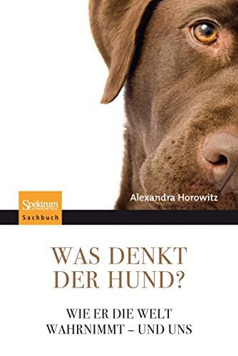 9783827424594: Was Denkt Der Hund?: Wie Er Die Welt Wahrnimmt - Und Uns