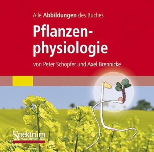 Stock image for Alle Grafiken Des Lehrbuchs Pflanzenphysiologie for sale by Blackwell's