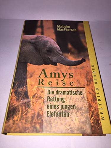 9783828906280: Amys Reise (Livre en allemand)