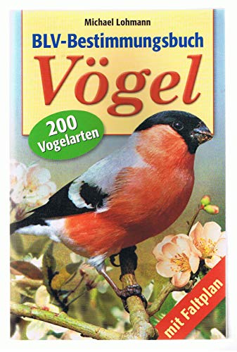 BLV-Bestimmungsbuch Vögel - Michael Lohmann