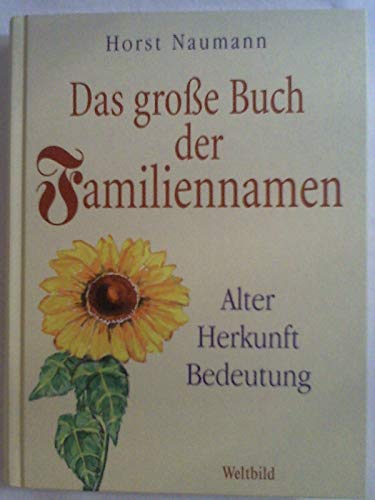 Beispielbild für Das große Buch der Familiennamen [Gebundene Ausgabe] Horst Naumann (Autor) zum Verkauf von Versandantiquariat Felix Mücke