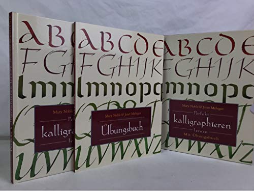 Stock image for Perfekt kalligraphieren lernen for sale by medimops