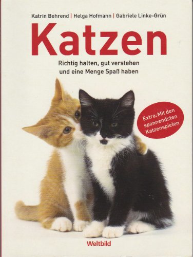 Imagen de archivo de Katzen. Richtig halten, gut verstehen und eine Menge Spa haben. a la venta por medimops