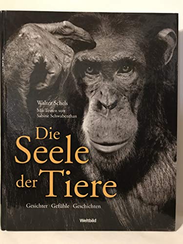 Stock image for Die Seele der Tiere for sale by medimops