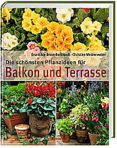 Beispielbild fr Die schnsten Pflanzideen fr Balkon und Terrasse zum Verkauf von Gerald Wollermann