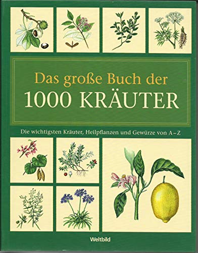 Beispielbild fr Das groe Buch der 1000 Kruter,Die wichtigsten Kruter, Heilpflanzen und Gewrze von A - Z zum Verkauf von medimops