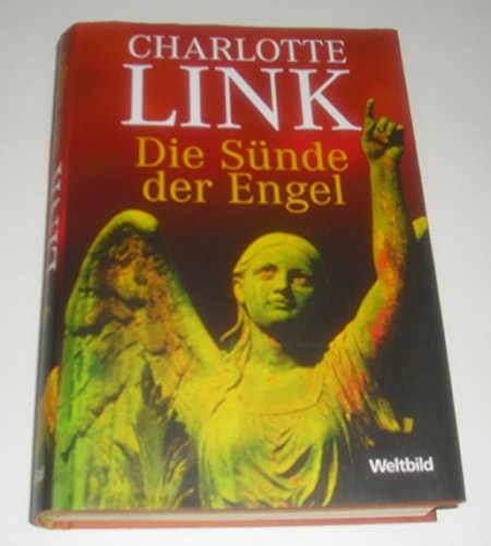 9783828976207: Die Snde der Engel,