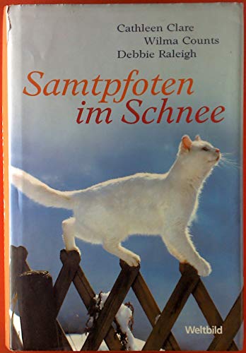 Imagen de archivo de Samtpfoten im Schnee. Drei kuschelige Liebesgeschichten zur Weihnachtszeit. Hardcover mit Schutzumschlag a la venta por Deichkieker Bcherkiste