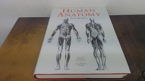 Stock image for Human Anatomy for Artists for sale by GF Books, Inc.