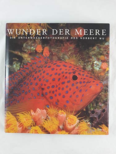Stock image for Wunder der Meere. Die Unterwasserfotografie des Norbert Wu for sale by medimops