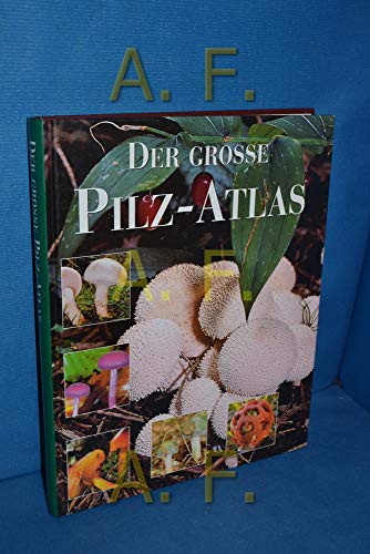 Stock image for DER GROSSE PILZ-ATLAS for sale by Melanie Nelson Books