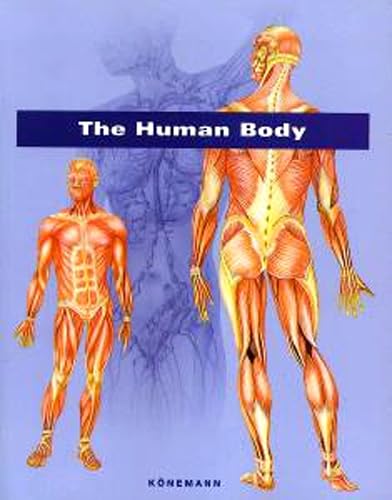 Beispielbild fr The Human Body zum Verkauf von Better World Books