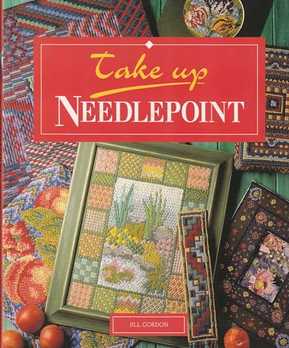 Stock image for Needlepoint (Take Up) for sale by Wonder Book