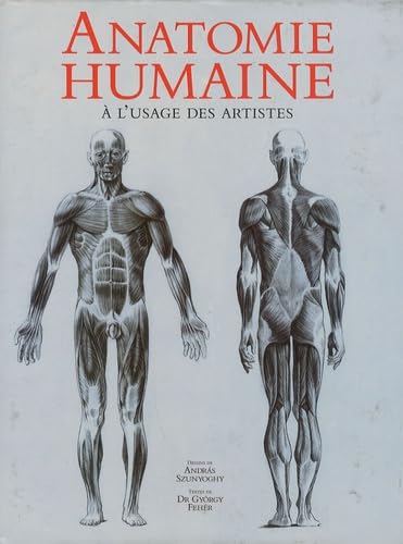 Imagen de archivo de Anatomie humaine : A l'usage des artistes a la venta por medimops