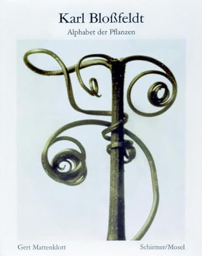 Imagen de archivo de Karl Blofeldt. Alphabet der Pflanzen. a la venta por Antiquariat & Verlag Jenior