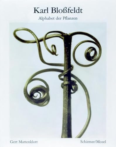 Stock image for Karl Blossfeldt: Alphabet der Pfanzen for sale by WorldofBooks