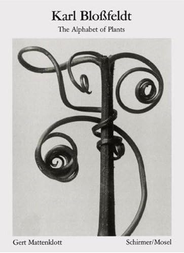 9783829603041: Karl Blossfeldt The Alphabet of Plants (Bibliotheque visuelle) /anglais