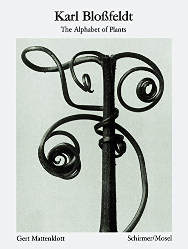 Stock image for Karl Blossfeldt: Alphabet of Plants: Masters of the Camera for sale by WorldofBooks