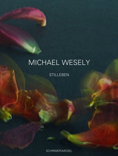 Stock image for Michael Wesely: Stilleben 2001-2007 for sale by ANARTIST